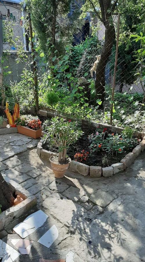 Ferienwohnung Newly Renovated House Tbilisi Exterior foto